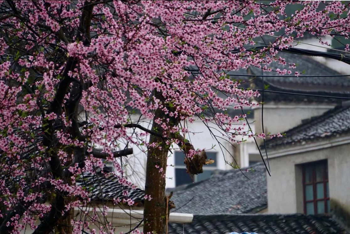 古鎮(zhèn)情懷：30個古鎮(zhèn)愿有人與你一起踏足！