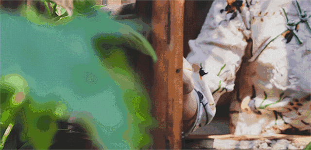 蘇州·蘇舍，在平江路享受蘇州的慢與蘇