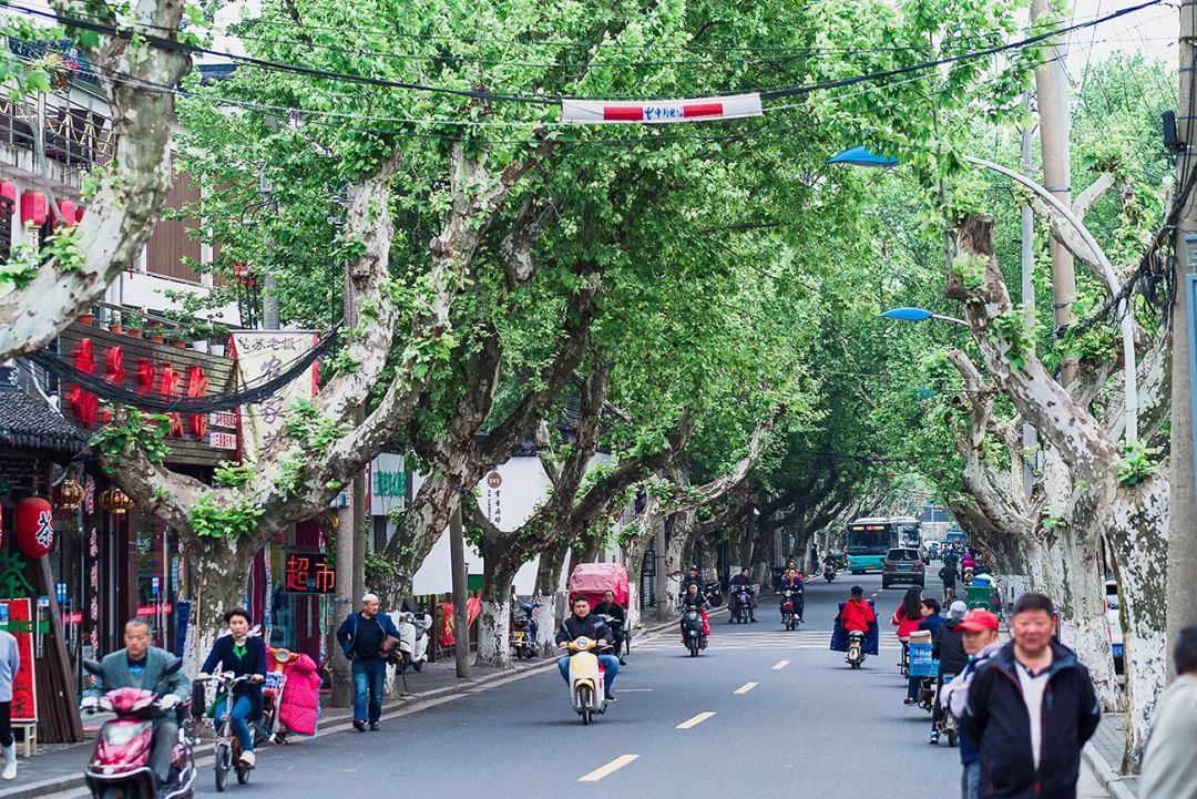 蘇州·蘇舍，在平江路享受蘇州的慢與蘇