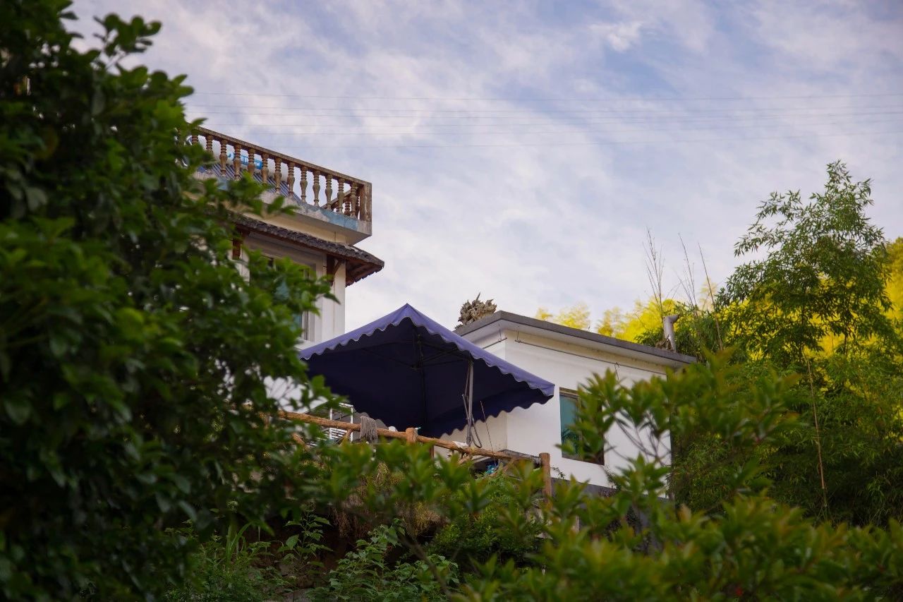 點(diǎn)叁民宿，千島湖坐船賞景豈不詩(shī)意？