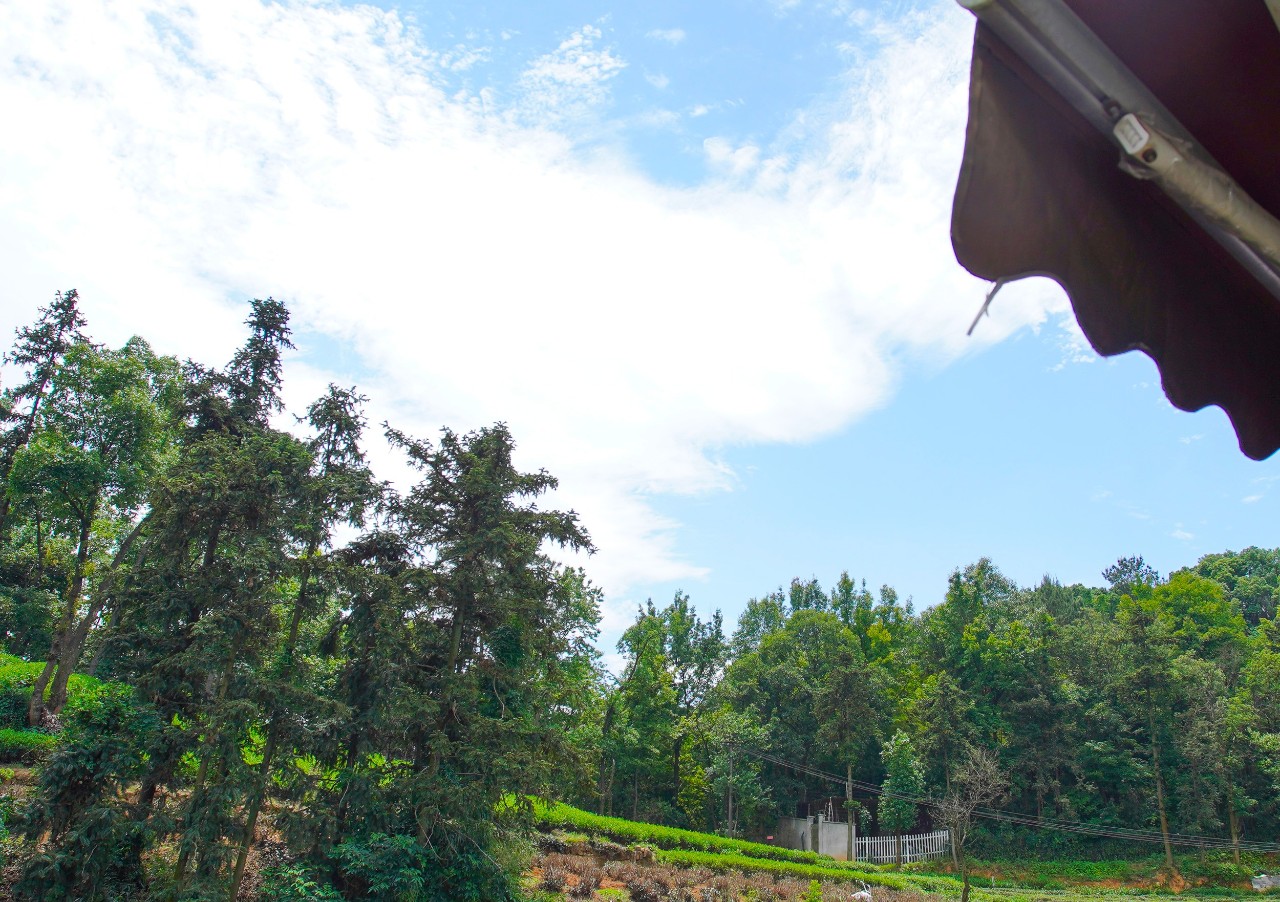 點(diǎn)叁民宿，千島湖坐船賞景豈不詩意？