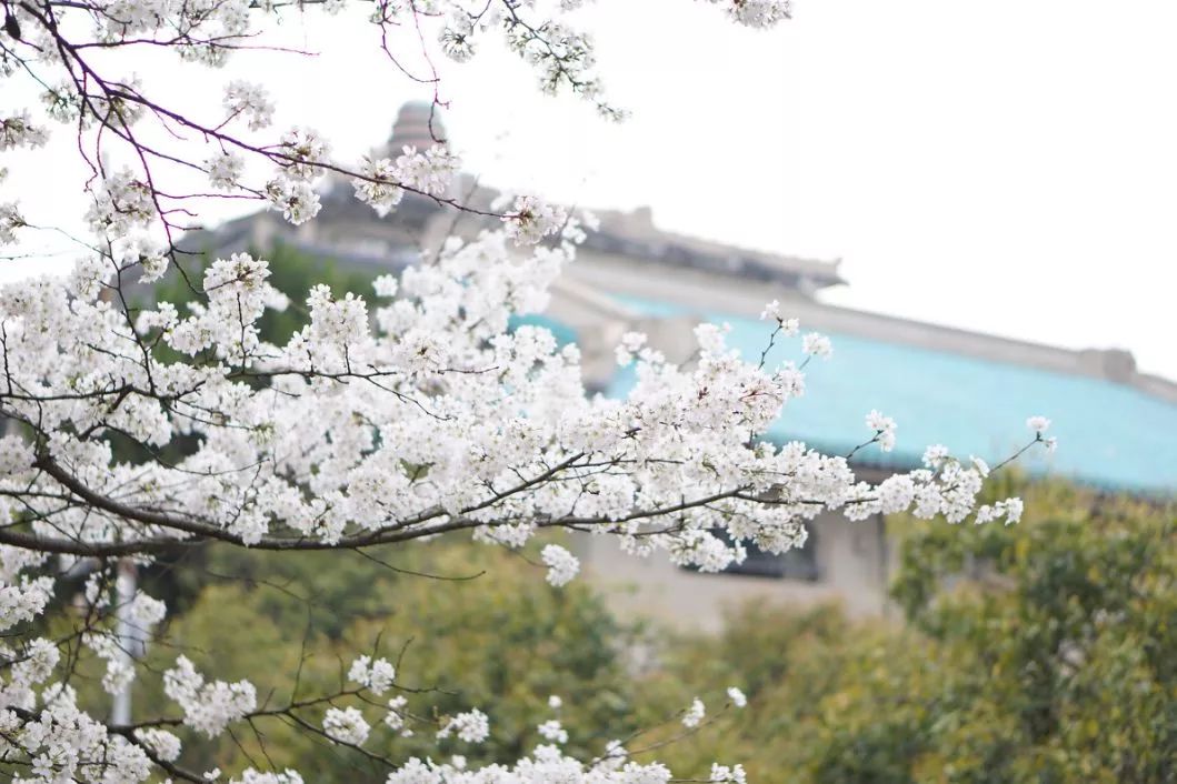 遇見(jiàn)中國(guó)最美的風(fēng)景，30個(gè)景色宜人的地方！