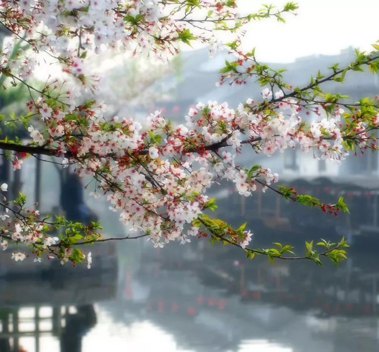 遇見中國最美的風(fēng)景，30個景色宜人的地方！