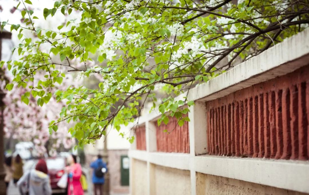 遇見(jiàn)中國(guó)最美的風(fēng)景，30個(gè)景色宜人的地方！