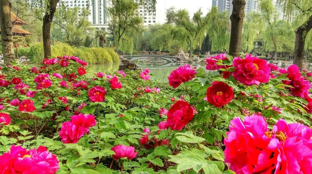 遇見(jiàn)中國(guó)最美的風(fēng)景，30個(gè)景色宜人的地方！