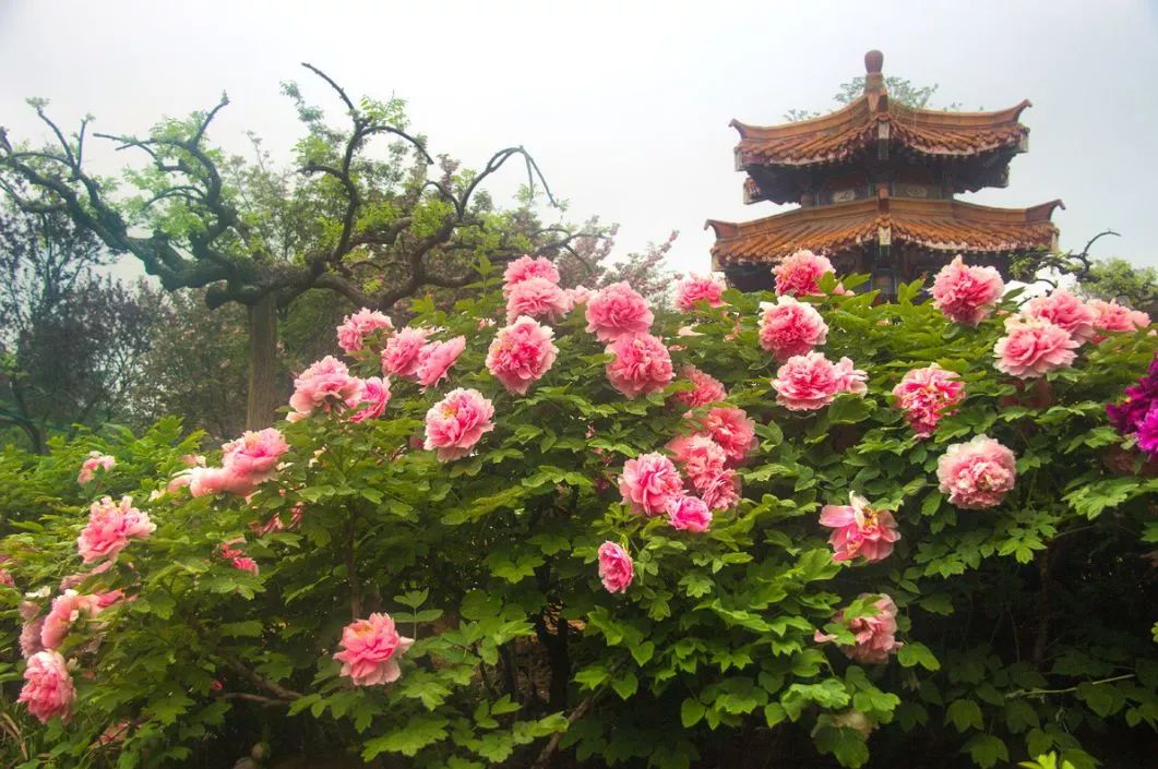 遇見(jiàn)中國(guó)最美的風(fēng)景，30個(gè)景色宜人的地方！