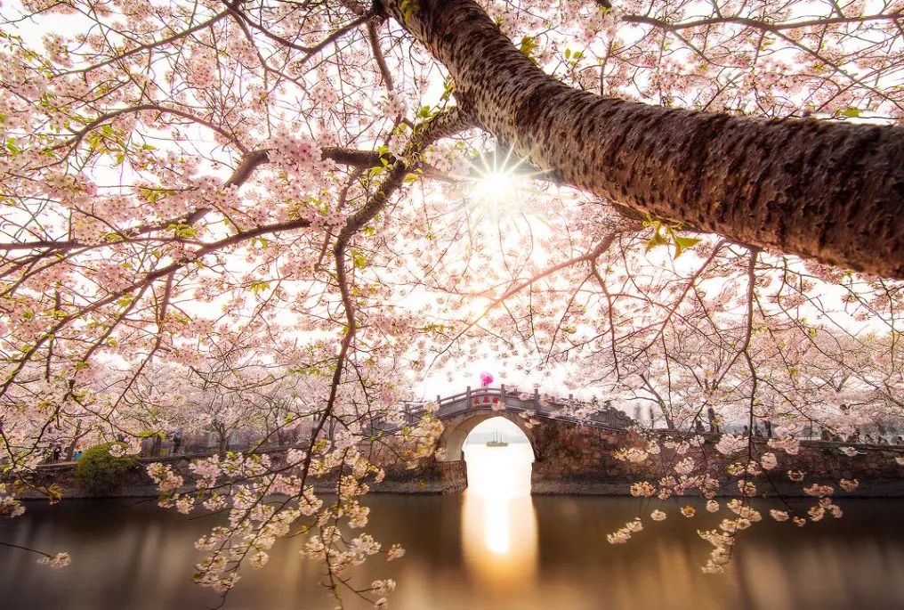 遇見中國最美的風景，30個景色宜人的地方！