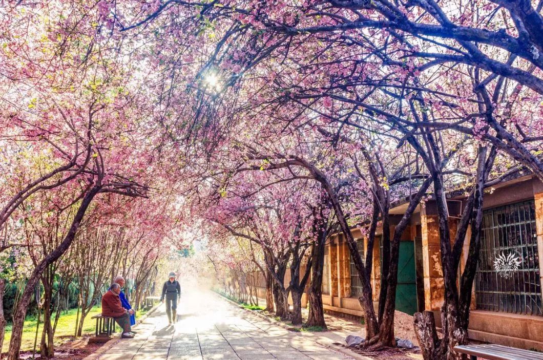 遇見中國(guó)最美的風(fēng)景，30個(gè)景色宜人的地方！