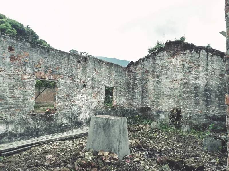 廣州·菁木山舍，有個木屋開滿鮮花看花開花落