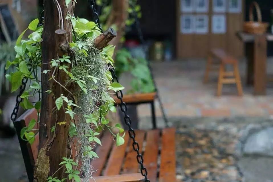 廣州·菁木山舍，有個木屋開滿鮮花看花開花落