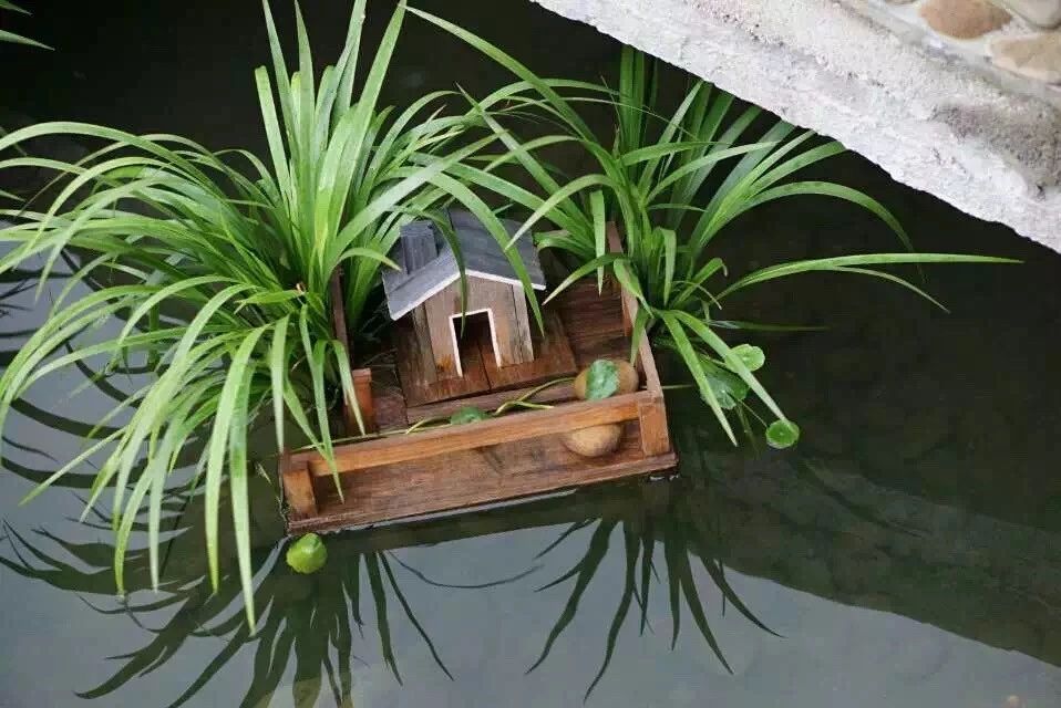 廣州·菁木山舍，有個木屋開滿鮮花看花開花落