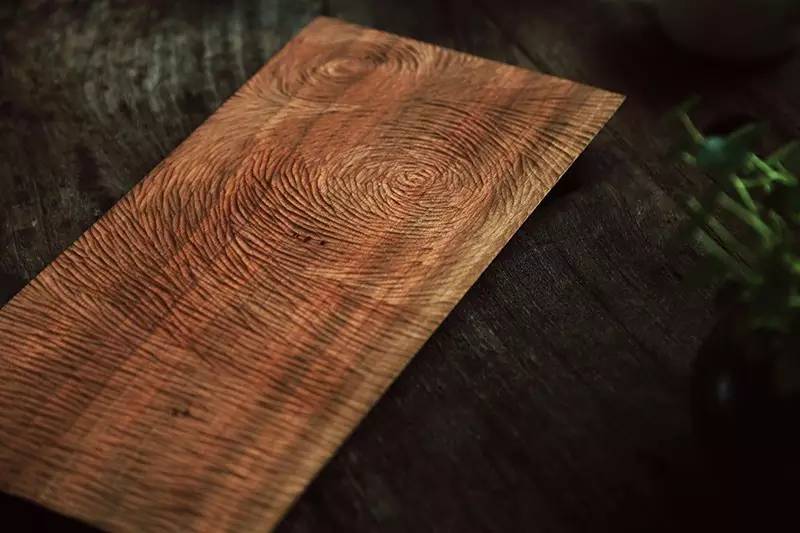 廣州·菁木山舍，有個木屋開滿鮮花看花開花落