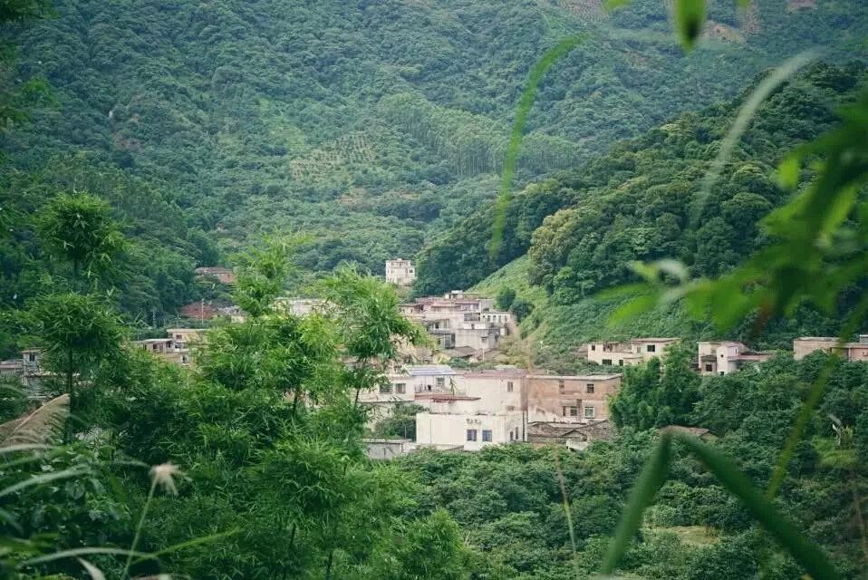 廣州·菁木山舍，有個(gè)木屋開滿鮮花看花開花落