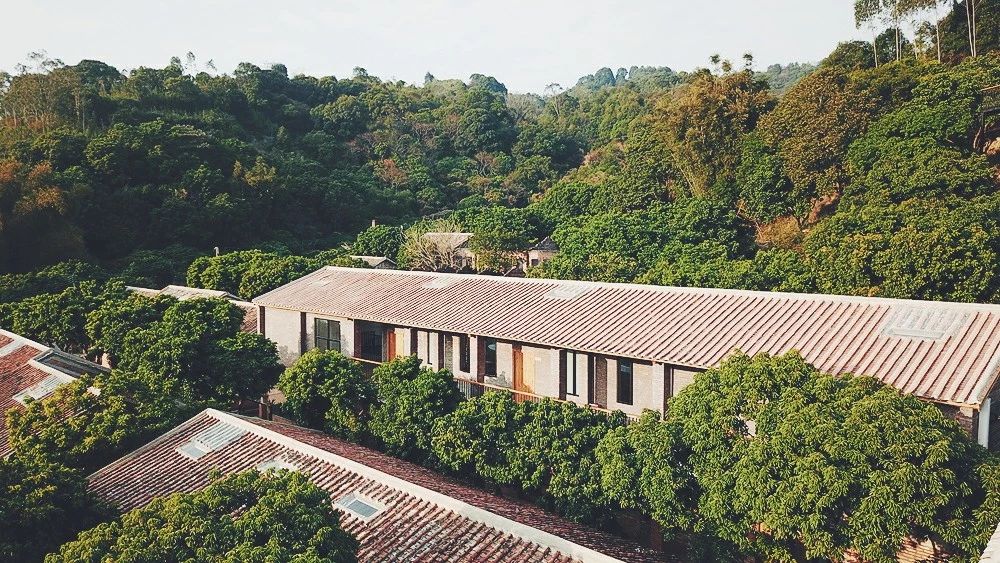 廣州·菁木山舍，有個木屋開滿鮮花看花開花落