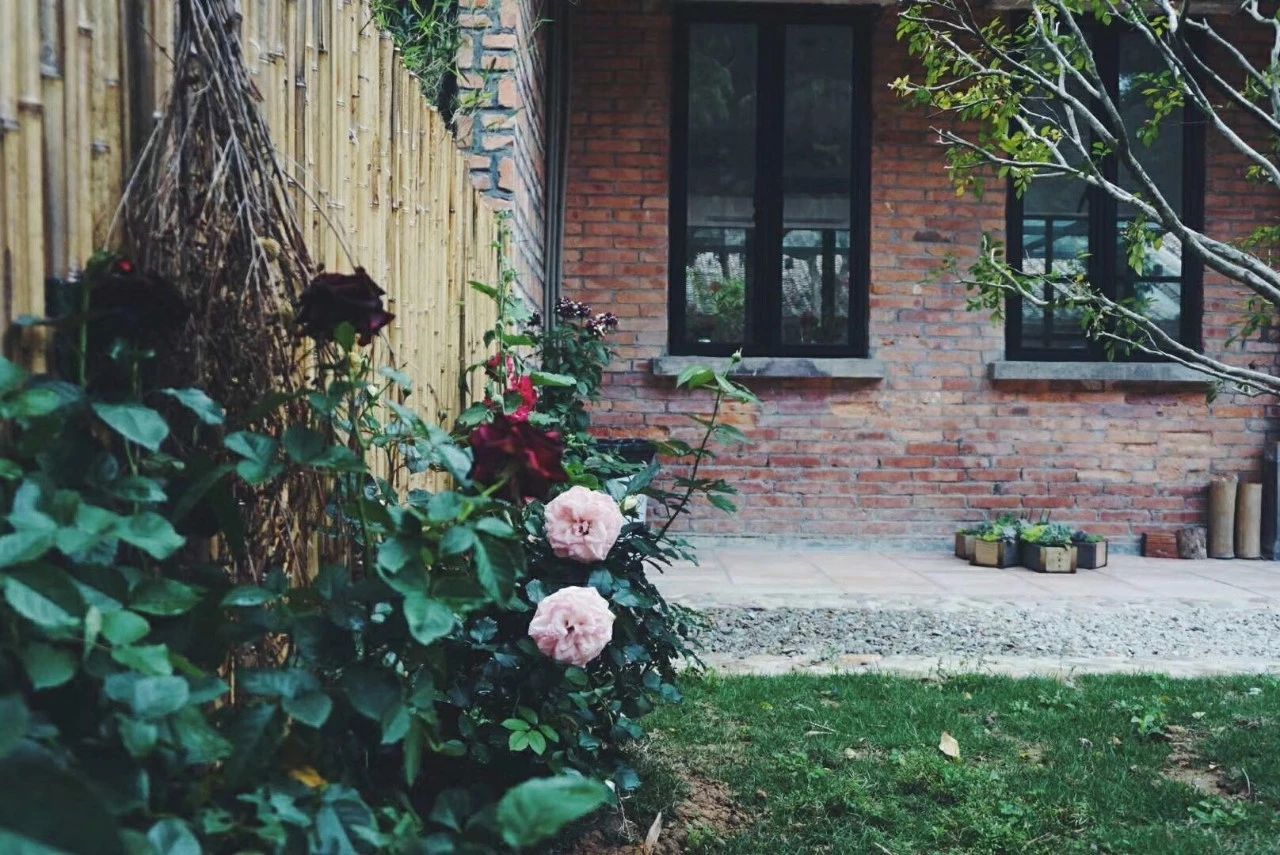 廣州·菁木山舍，有個木屋開滿鮮花看花開花落