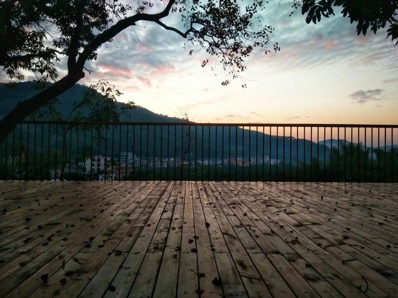 廣州·菁木山舍，有個木屋開滿鮮花看花開花落