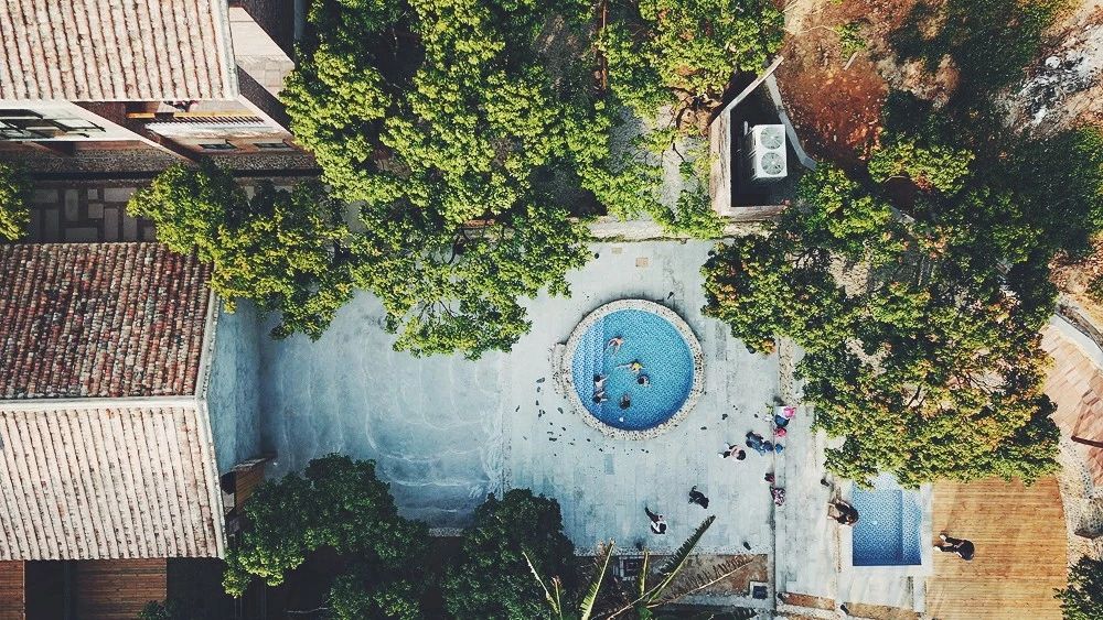 廣州·菁木山舍，有個(gè)木屋開(kāi)滿(mǎn)鮮花看花開(kāi)花落