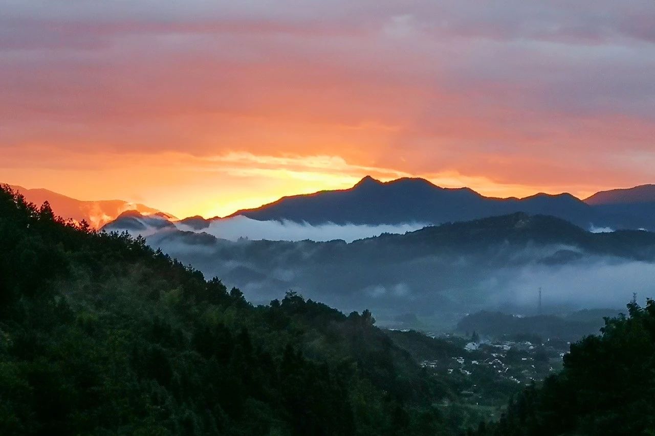 一音禪師的佛系生活：獨(dú)自修行活在當(dāng)下！