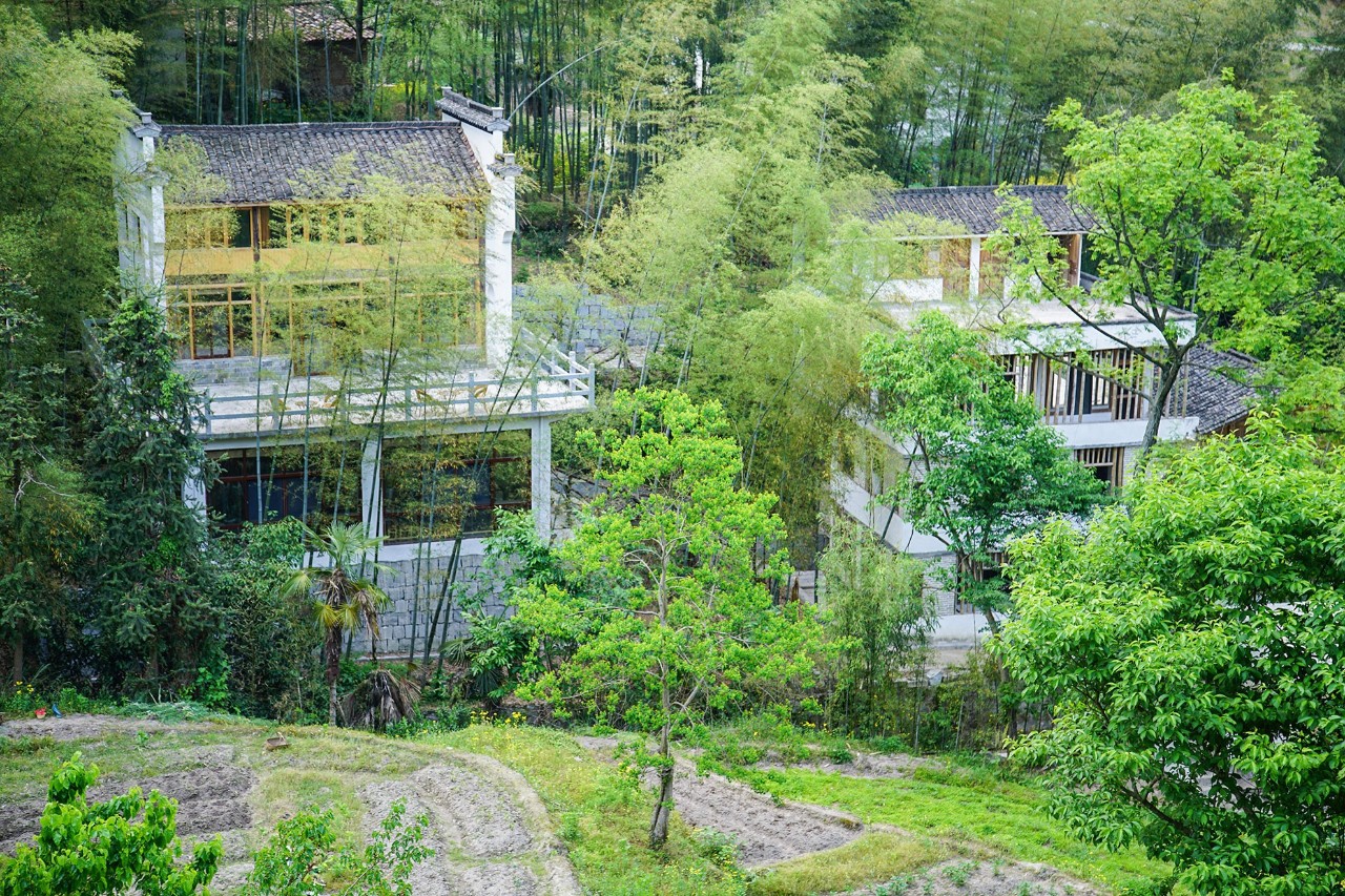 一音禪師的佛系生活：獨(dú)自修行活在當(dāng)下！