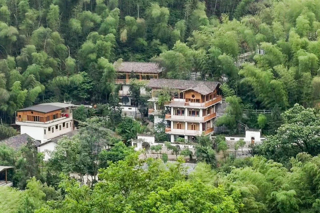 一音禪師的佛系生活：獨(dú)自修行活在當(dāng)下！