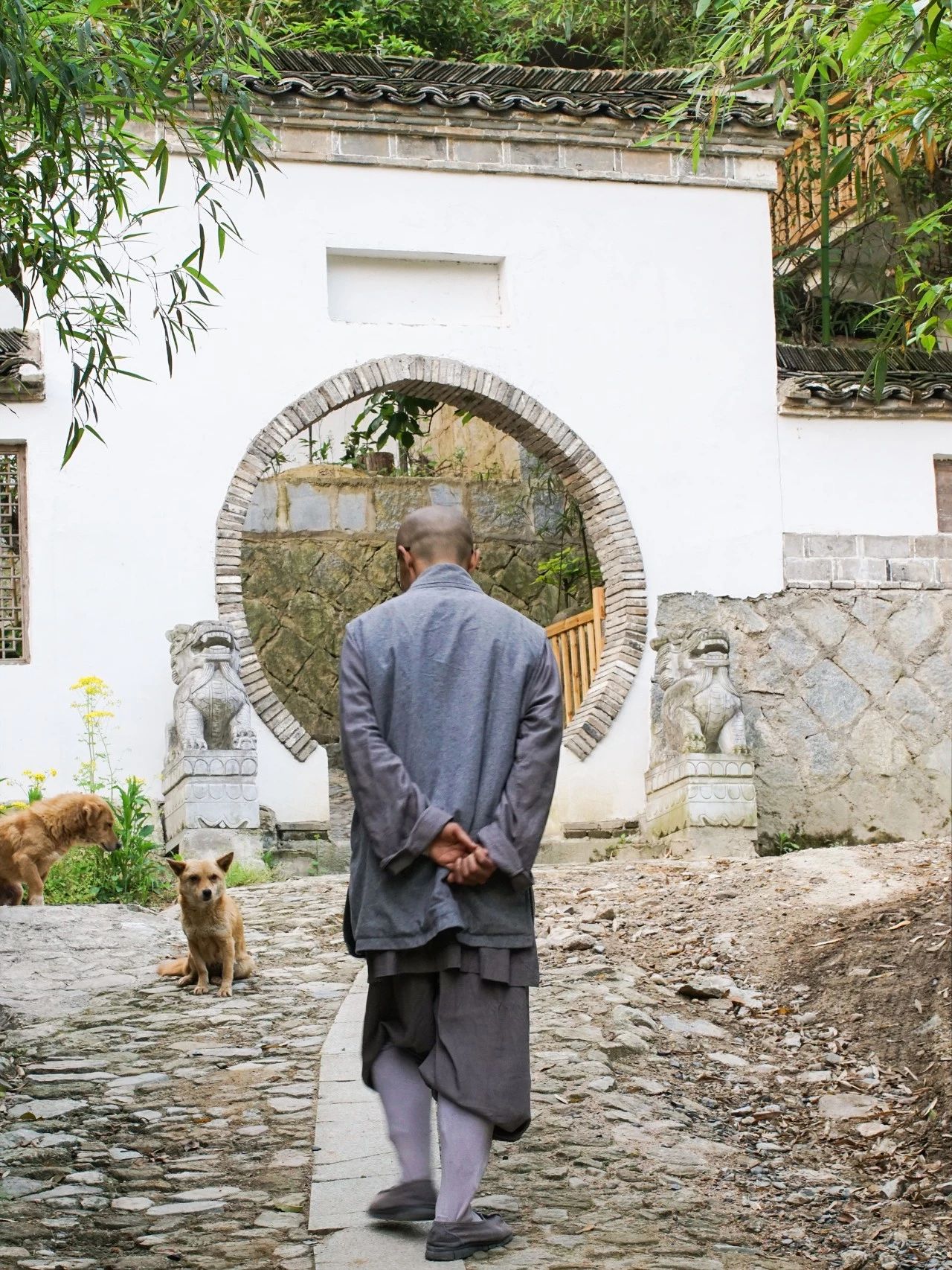 一音禪師的佛系生活：獨(dú)自修行活在當(dāng)下！