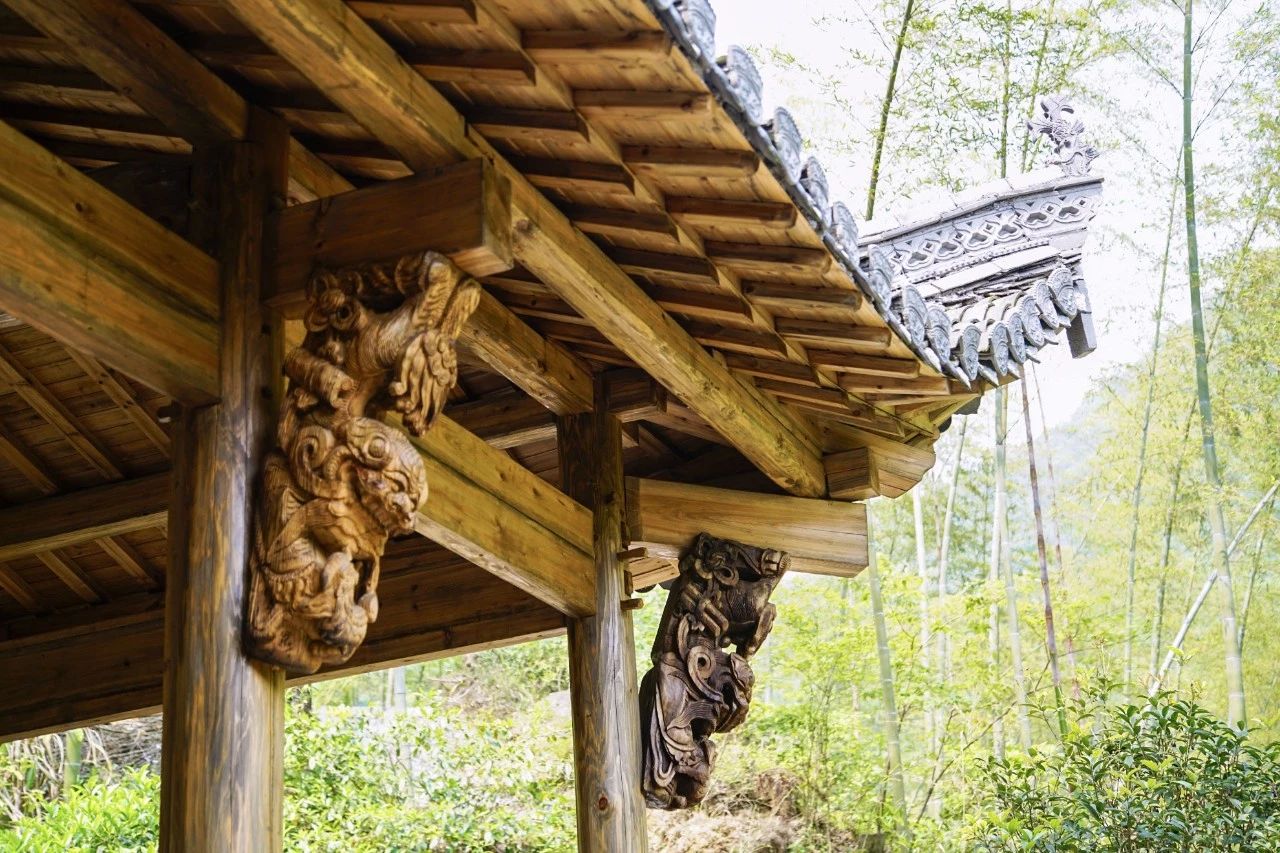 一音禪師的佛系生活：獨(dú)自修行活在當(dāng)下！