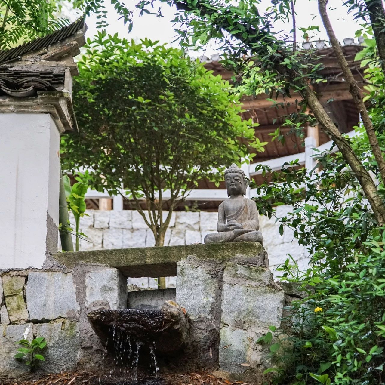 一音禪師的佛系生活：獨(dú)自修行活在當(dāng)下！