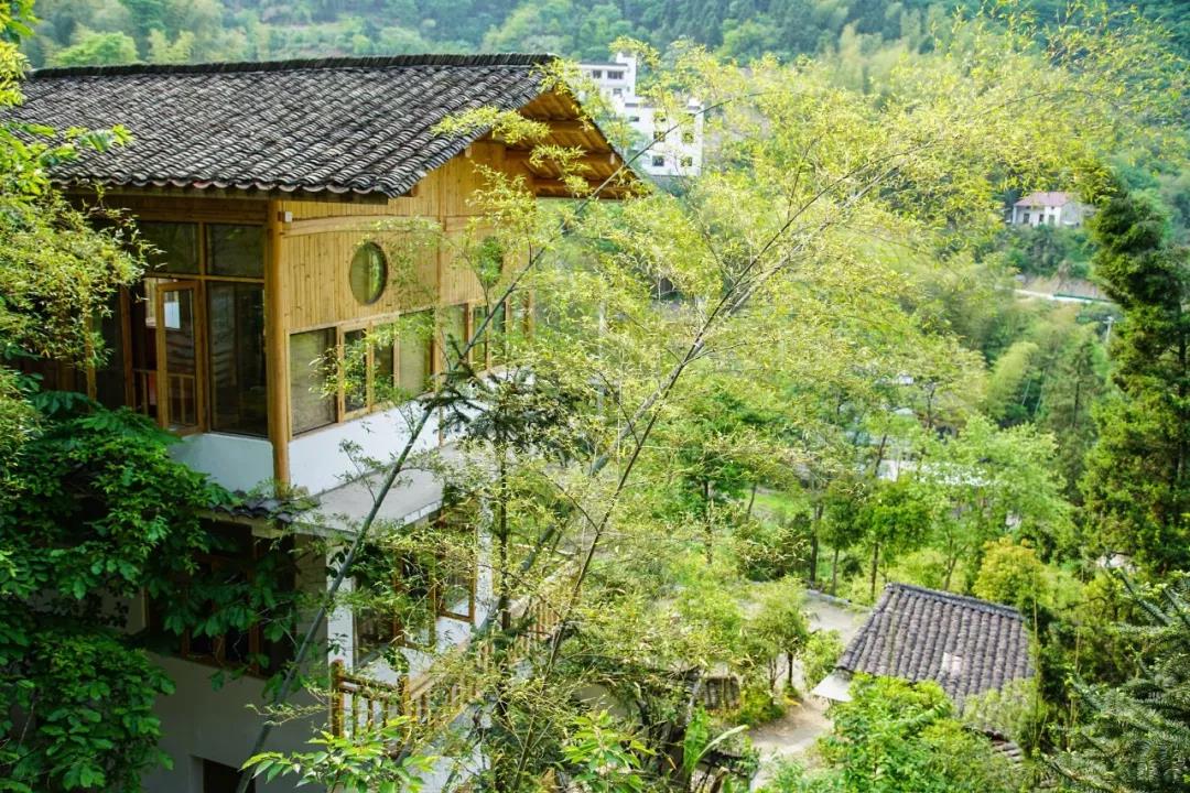 一音禪師的佛系生活：獨(dú)自修行活在當(dāng)下！