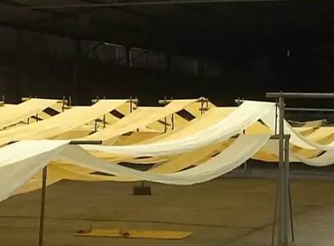 中國最古老布料:夏布微涼款款起舞