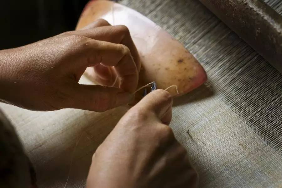 中國最古老布料:夏布微涼款款起舞