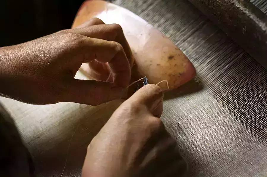 中國最古老布料:夏布微涼款款起舞