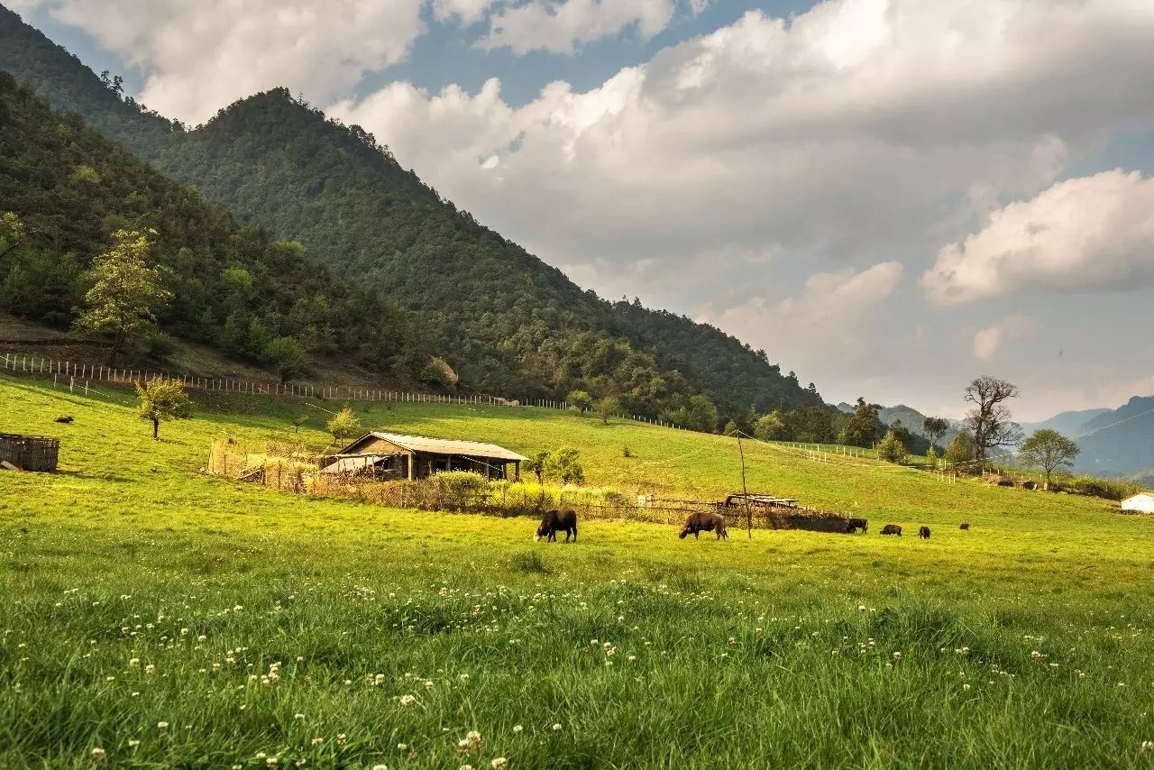 騰沖·敘蘭亭，不是讓古宅在時光中老去