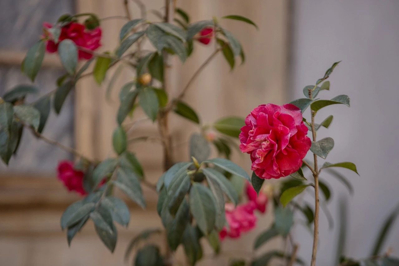 騰沖·敘蘭亭，不是讓古宅在時光中老去