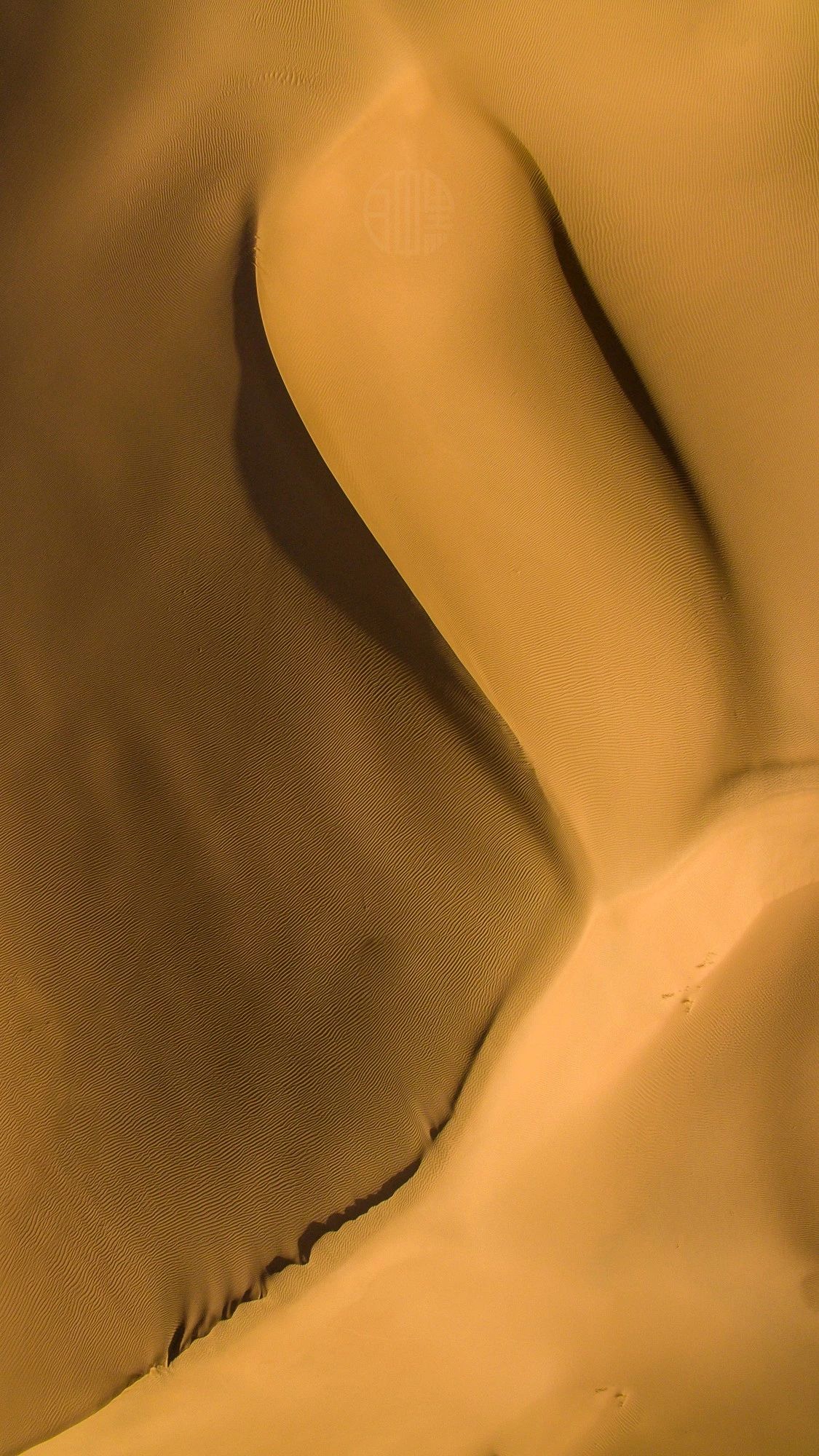 驚艷家佳樂文學景：發(fā)現(xiàn)未知的美！