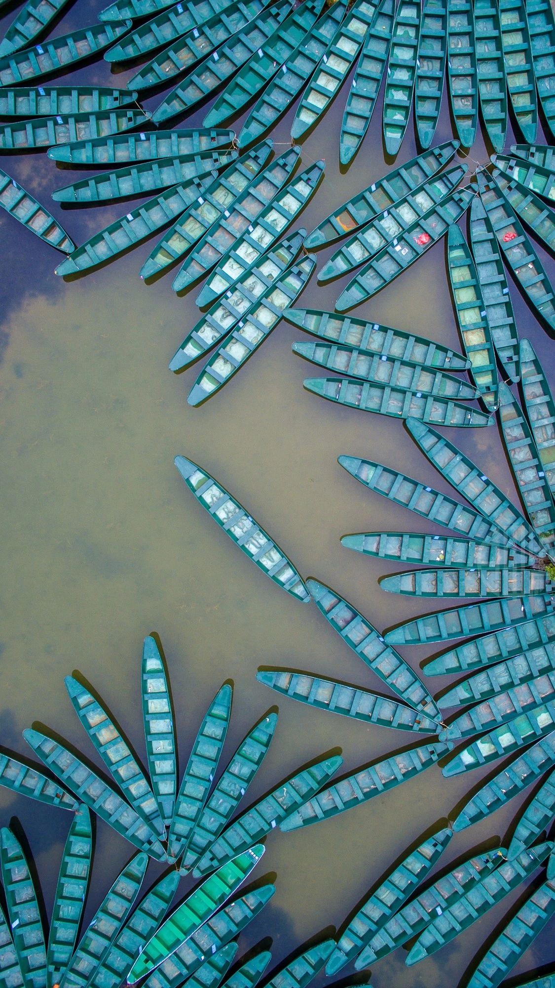 驚艷家佳樂文學景：發(fā)現(xiàn)未知的美！