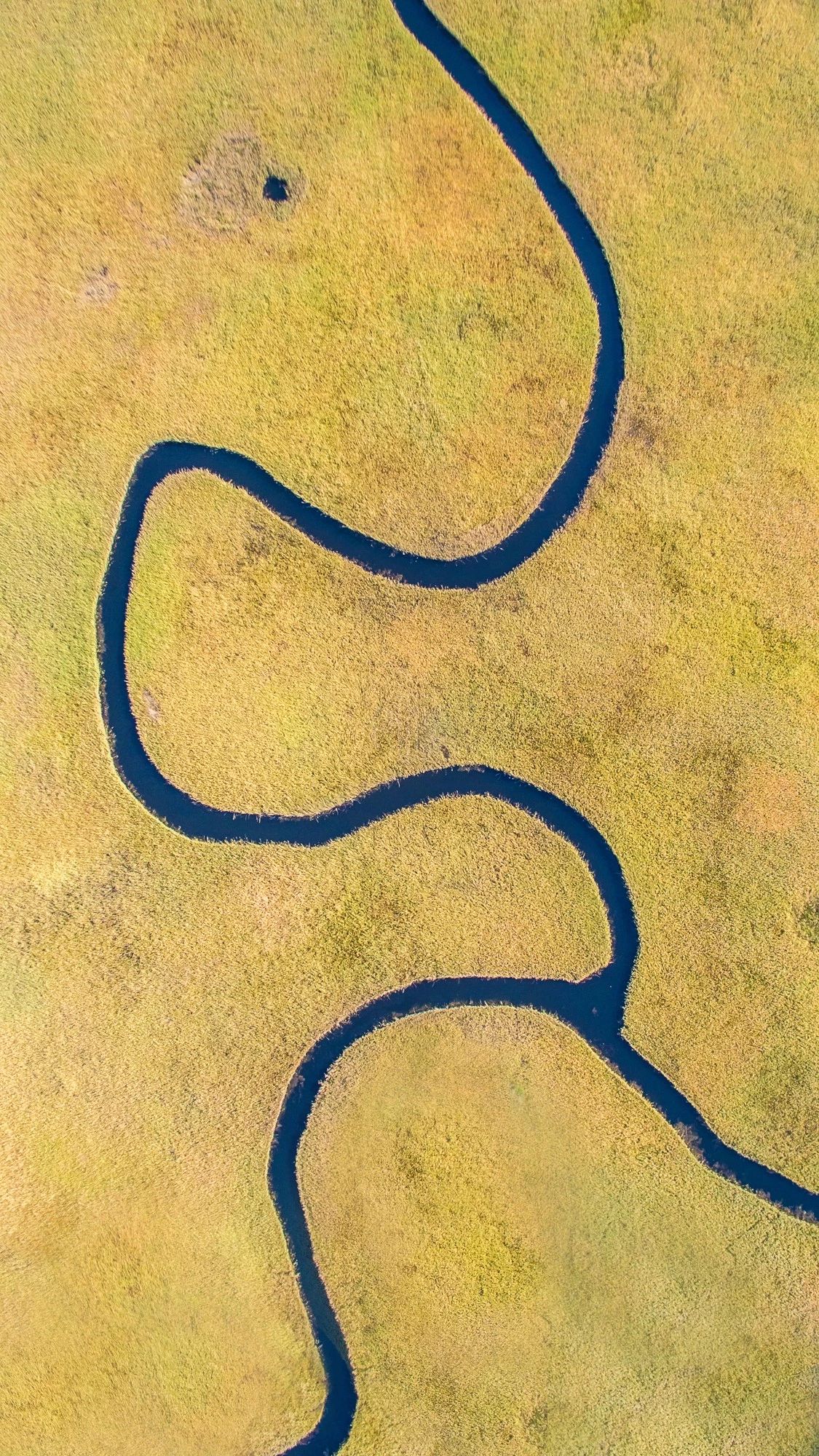 驚艷家佳樂文學景：發(fā)現(xiàn)未知的美！