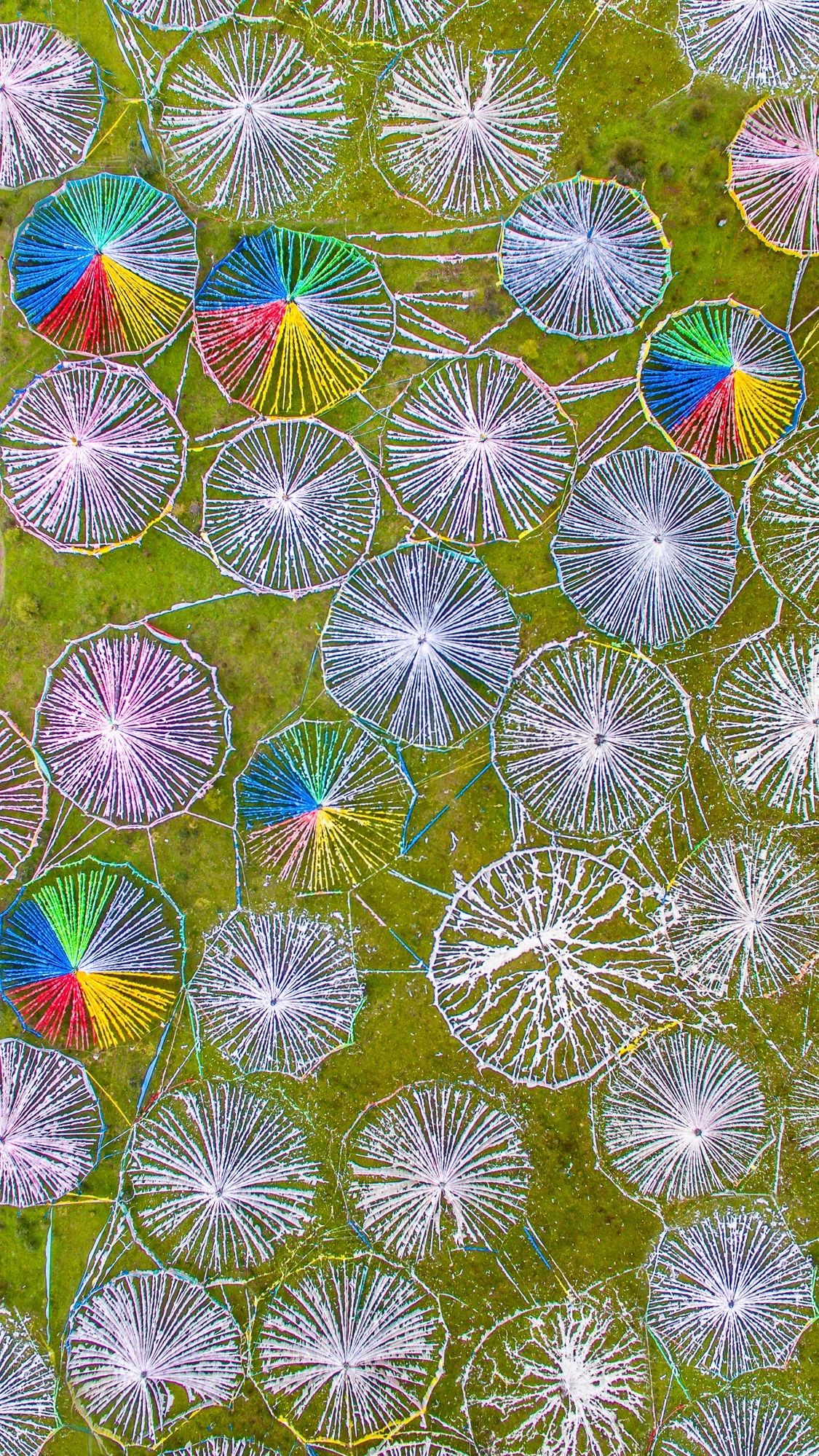 驚艷家佳樂文學景：發(fā)現(xiàn)未知的美！