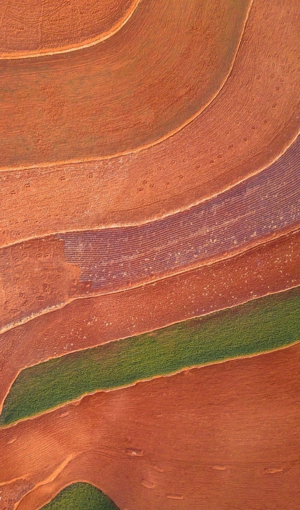 驚艷家佳樂文學(xué)景：發(fā)現(xiàn)未知的美！