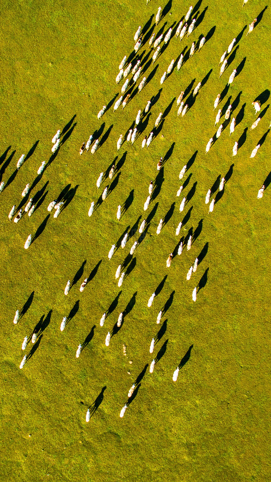 驚艷家佳樂文學(xué)景：發(fā)現(xiàn)未知的美！