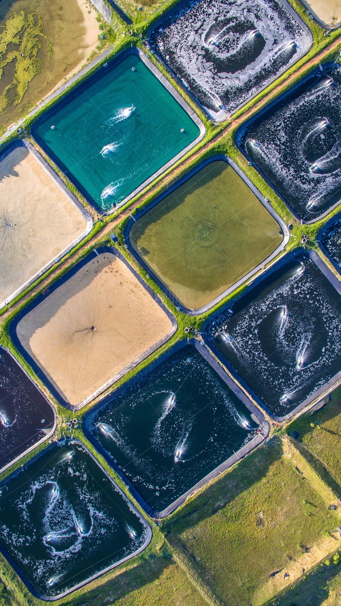 驚艷家佳樂文學(xué)景：發(fā)現(xiàn)未知的美！