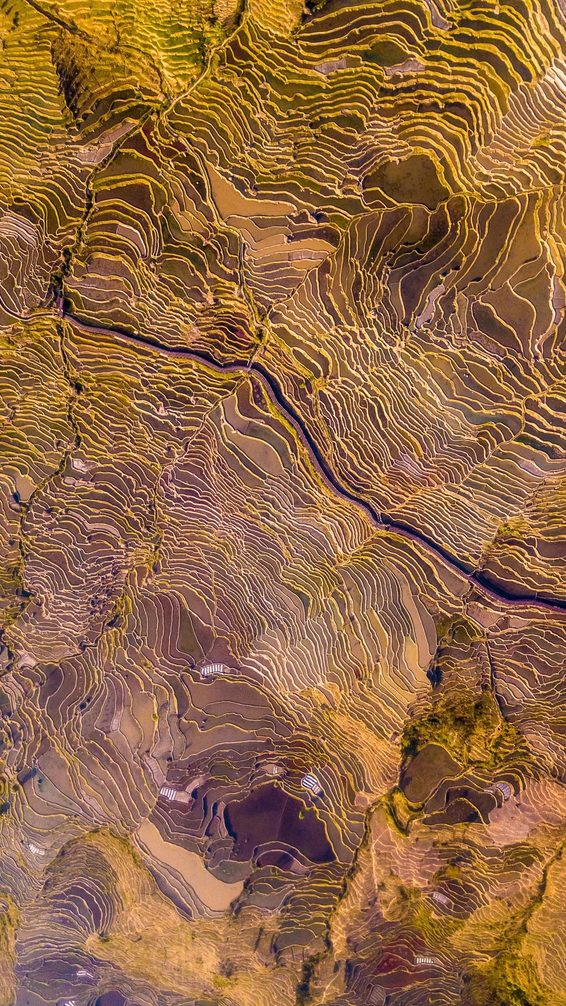 驚艷家佳樂文學(xué)景：發(fā)現(xiàn)未知的美！