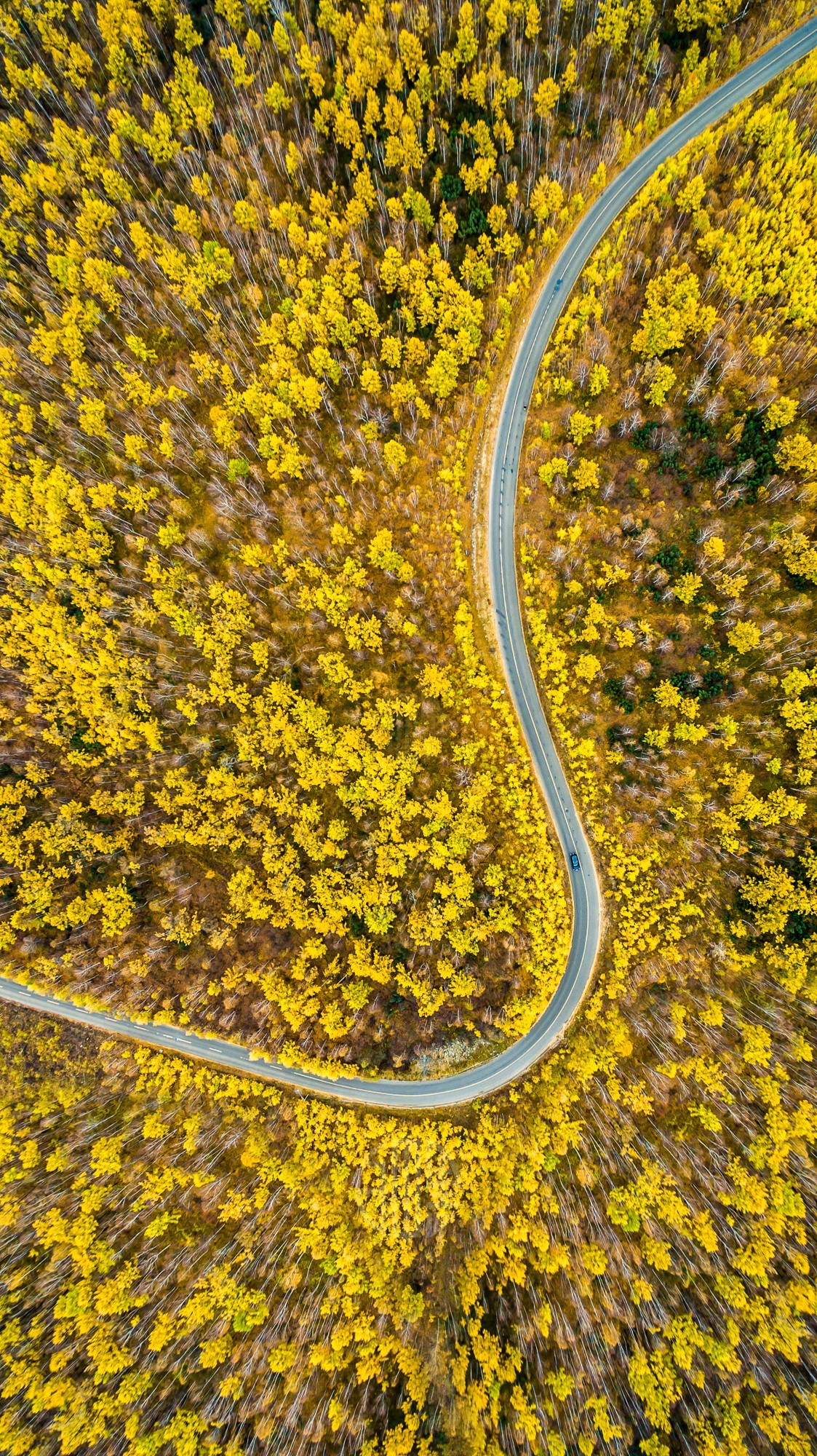 驚艷家佳樂文學(xué)景：發(fā)現(xiàn)未知的美！