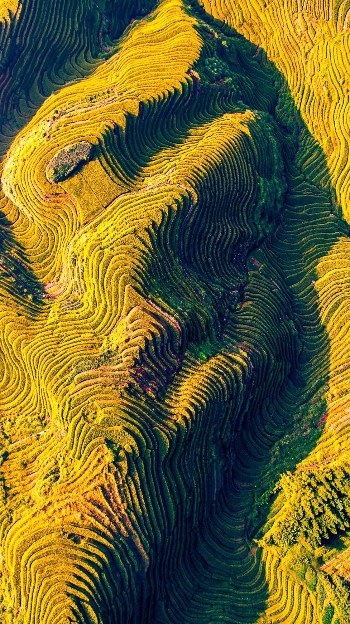 驚艷家佳樂文學(xué)景：發(fā)現(xiàn)未知的美！