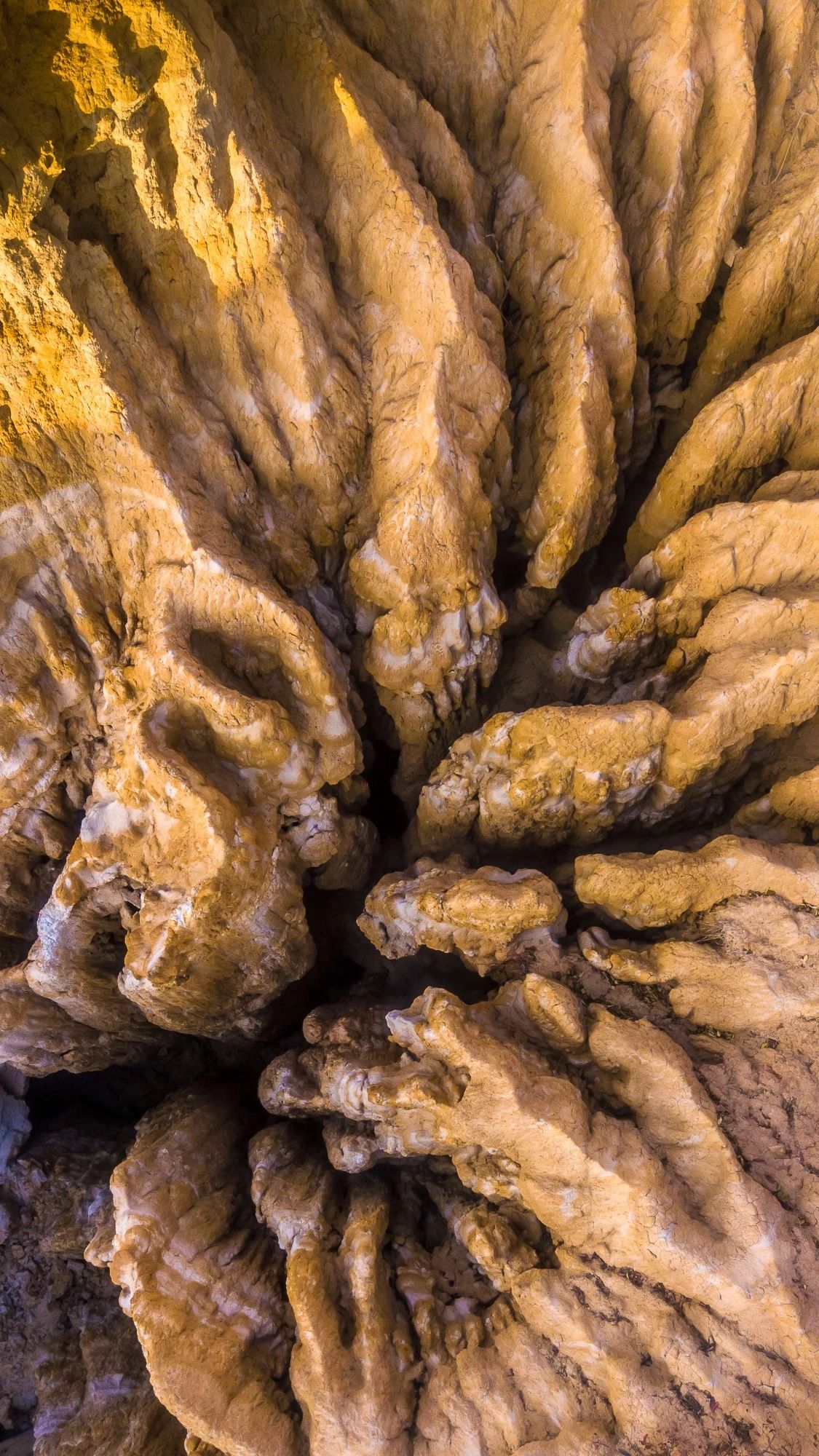 驚艷家佳樂文學(xué)景：發(fā)現(xiàn)未知的美！