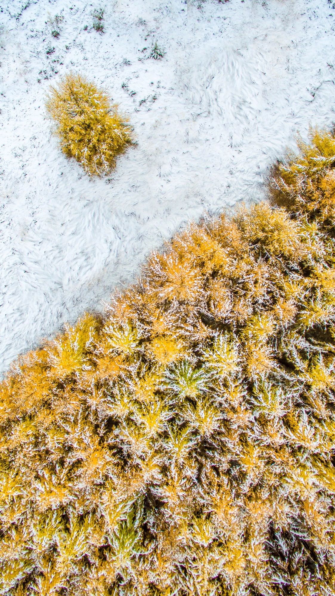 驚艷家佳樂文學(xué)景：發(fā)現(xiàn)未知的美！