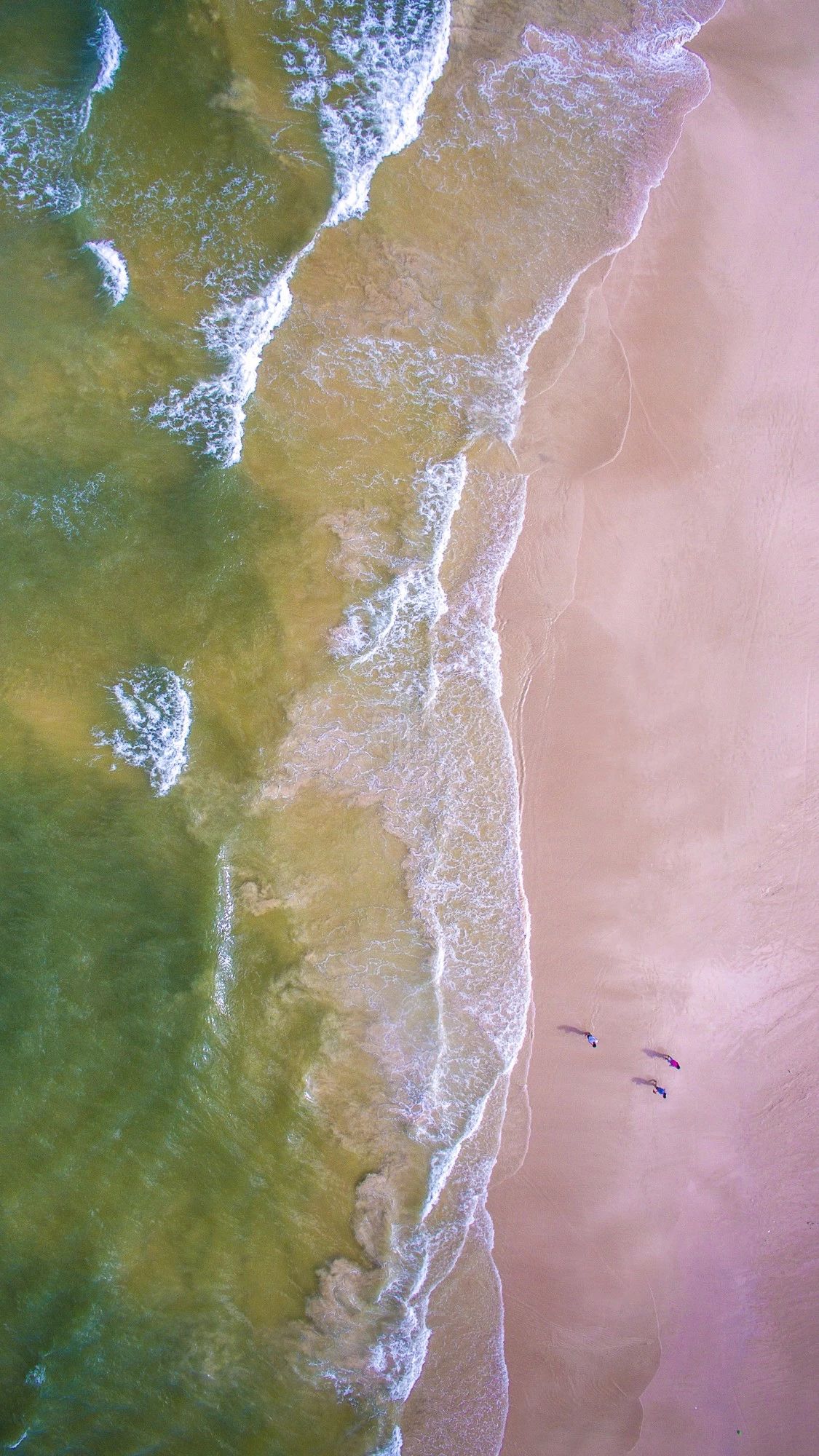 驚艷家佳樂(lè)文學(xué)景：發(fā)現(xiàn)未知的美！