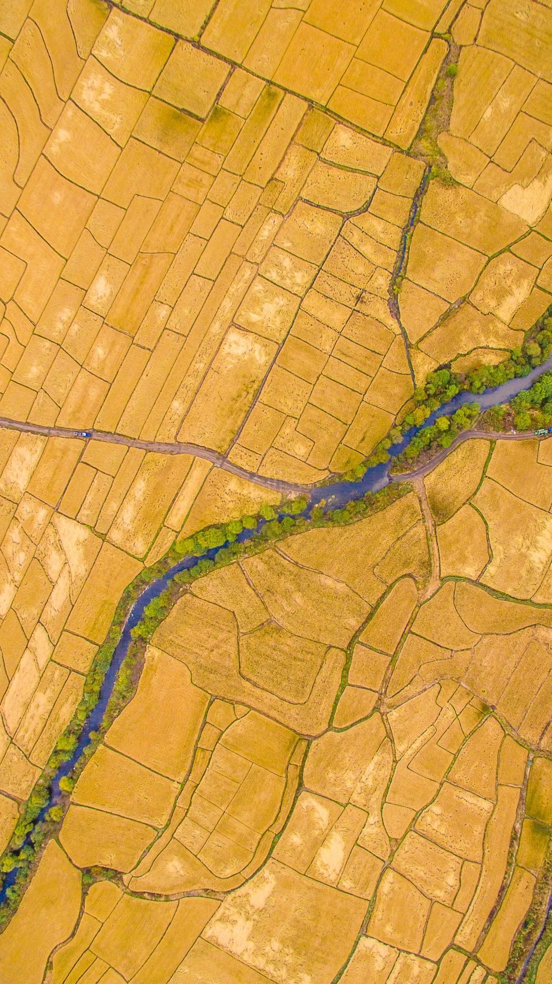 驚艷家佳樂(lè)文學(xué)景：發(fā)現(xiàn)未知的美！