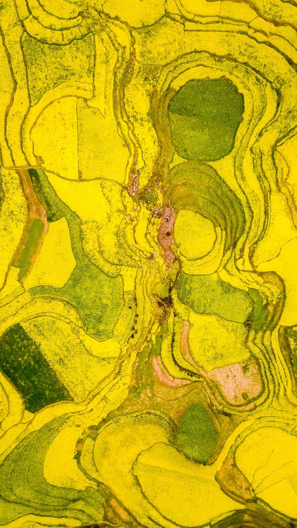 驚艷家佳樂(lè)文學(xué)景：發(fā)現(xiàn)未知的美！