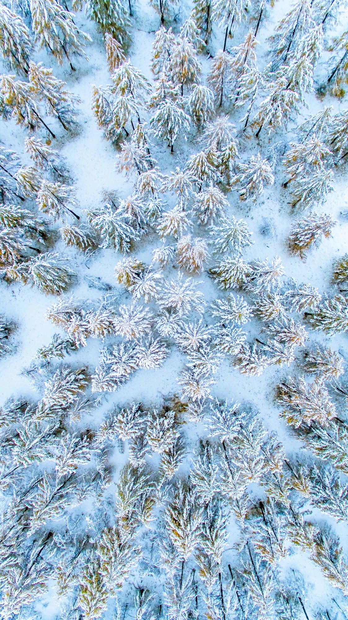 驚艷家佳樂(lè)文學(xué)景：發(fā)現(xiàn)未知的美！