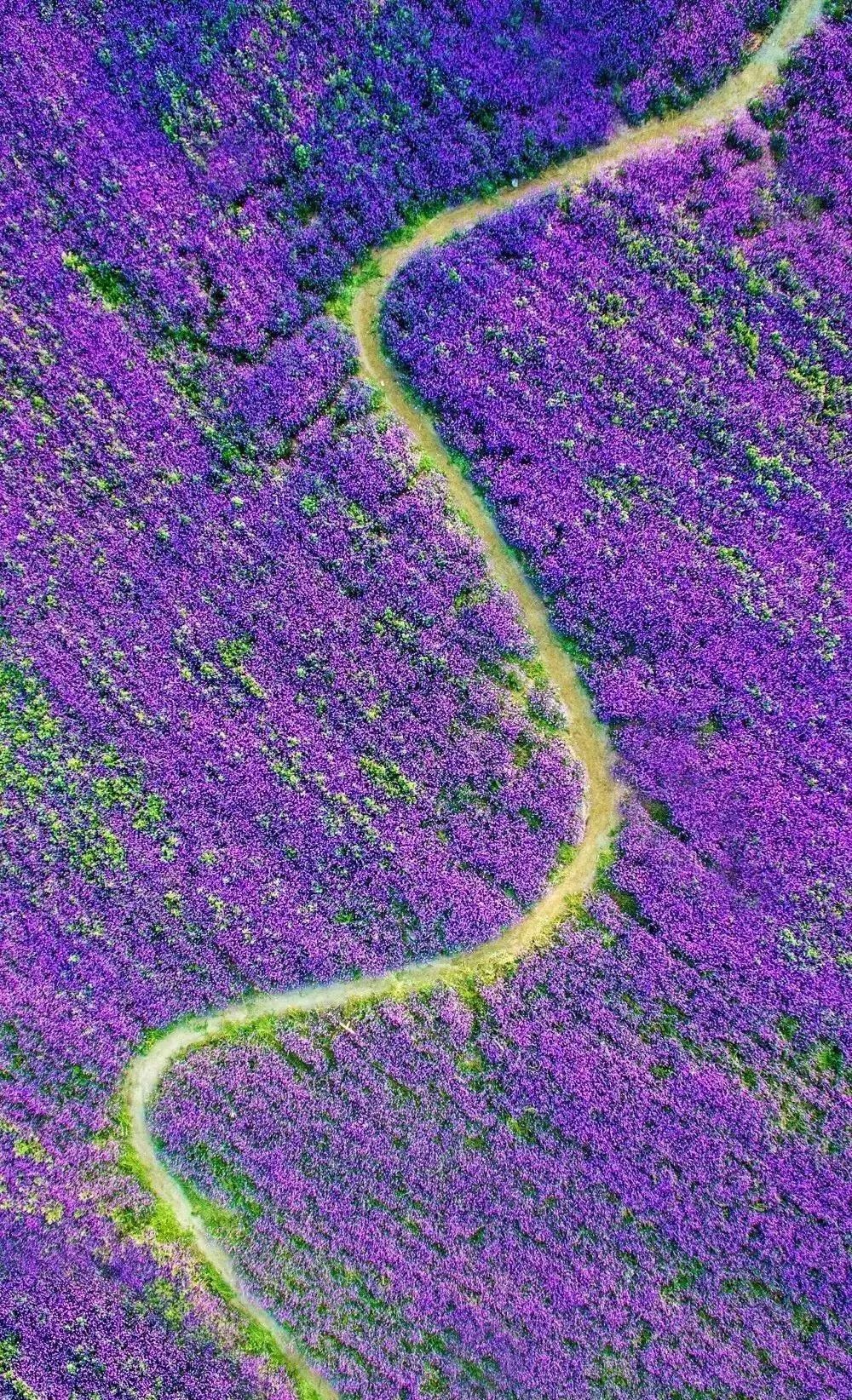 驚艷家佳樂文學景：發(fā)現(xiàn)未知的美！